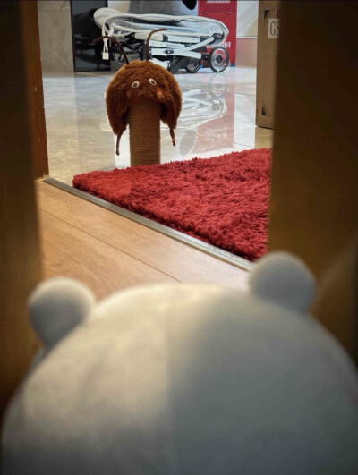 表情包