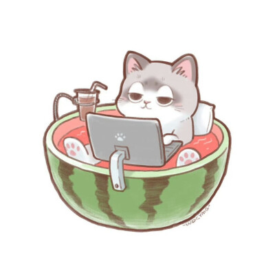 猫咪头像