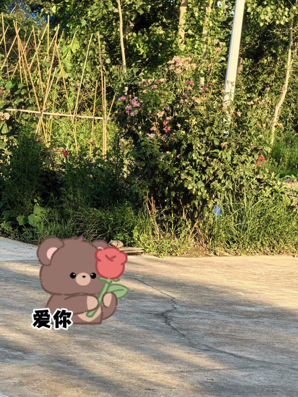 听说爱人如养花，那反过来也可以成立吗？