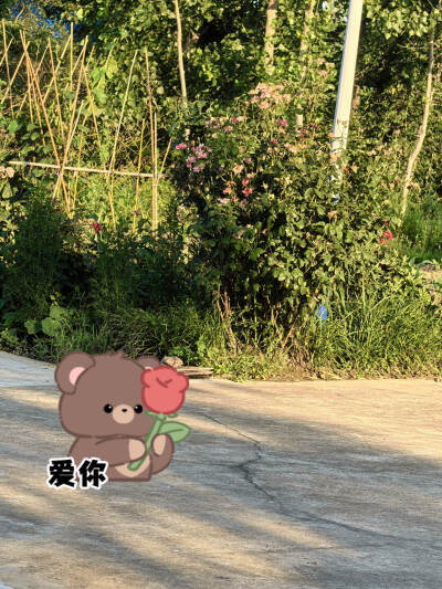 听说爱人如养花，那反过来也可以成立吗？