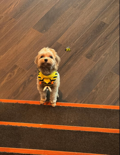 可爱的露思又发布了生活日常哟