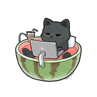 猫咪头像