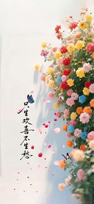 手机壁纸