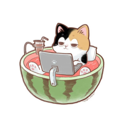 猫咪头像