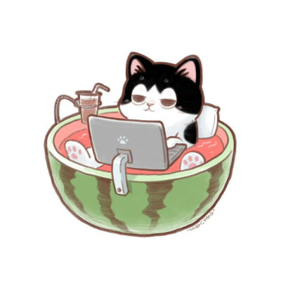 猫咪头像