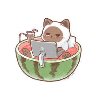 猫咪头像
