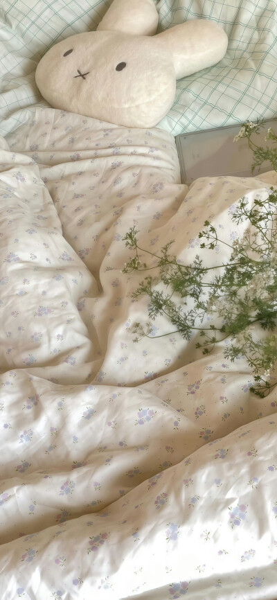 壁纸/锁屏