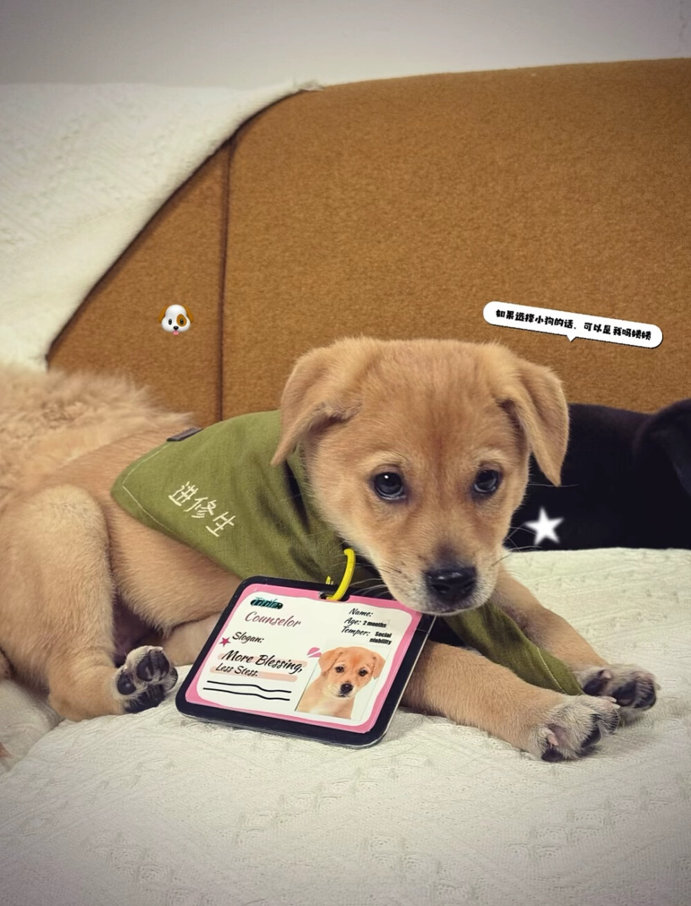 可爱的露思又发布了生活日常哟