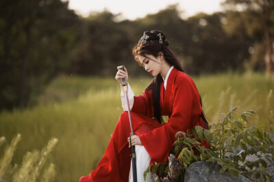 白鹿