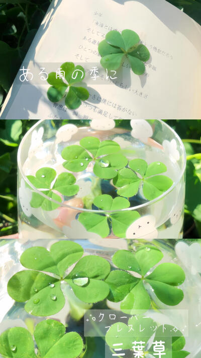 图源：煎饼多放生菜