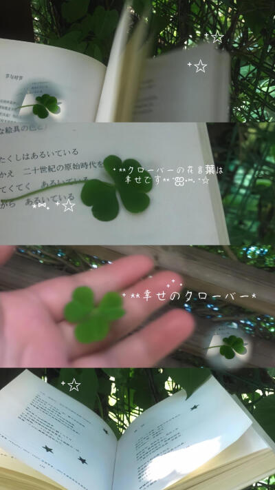 图源：煎饼多放生菜