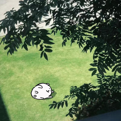 图源网络