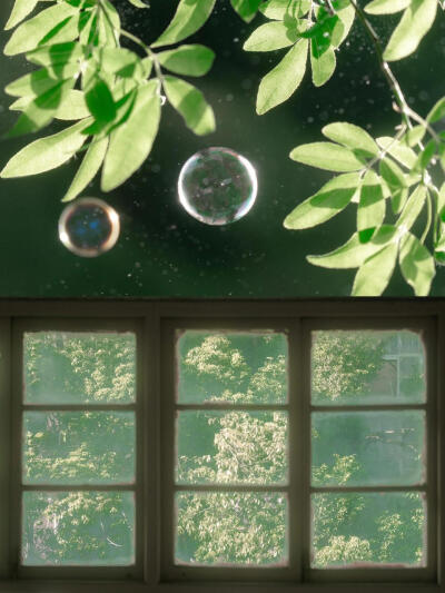 /