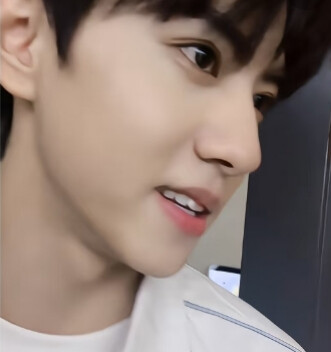 小狗宝宝