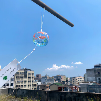 落日溺在云层里月光散落森林里 