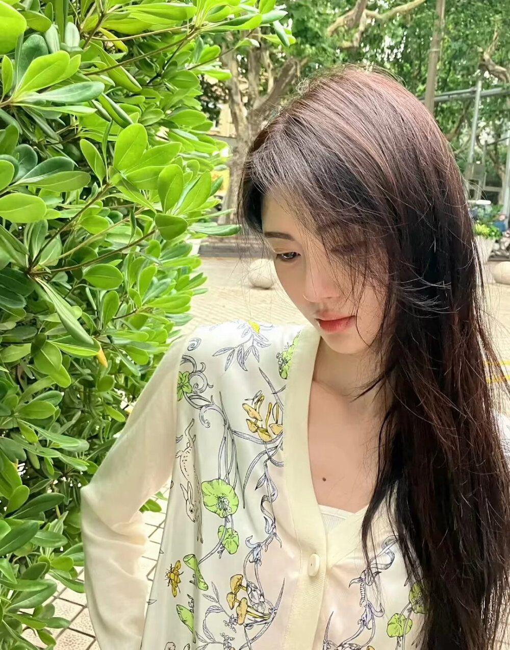 鞠婧祎