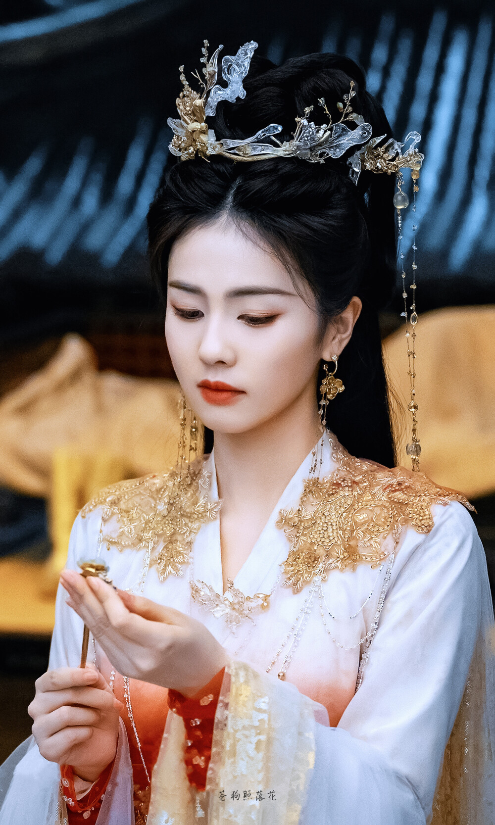 临江仙｜李青月/花如月
cr：苍狗照落花