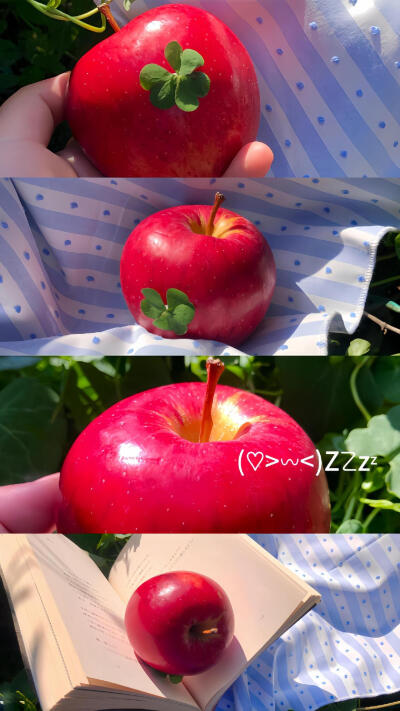 图源：煎饼多放生菜