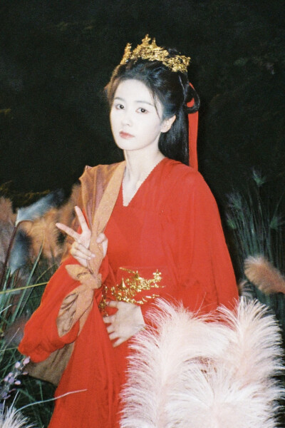 临江仙 李青月