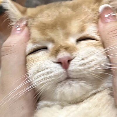 所有可以分享的瞬间我想到的都是你