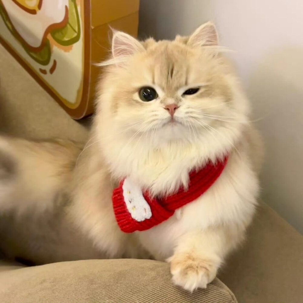 所有可以分享的瞬间我想到的都是你