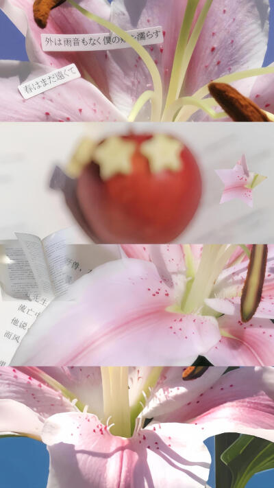 图源：煎饼多放生菜