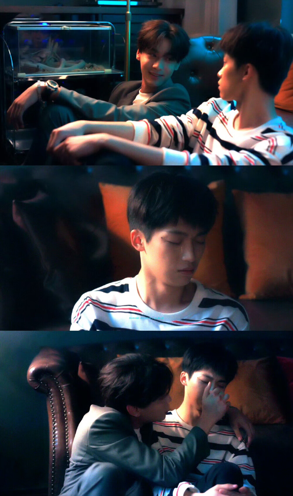 田栩寧 梓渝 ｜ 池騁 吳所畏