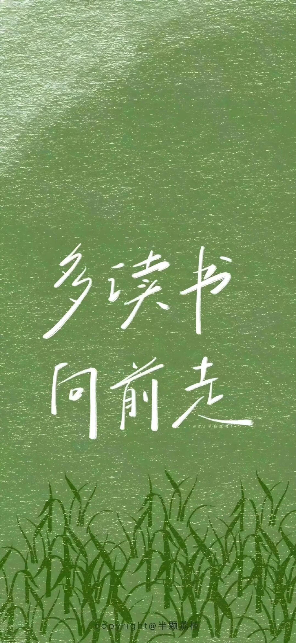 手机壁纸