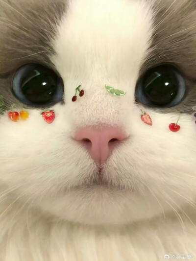 。