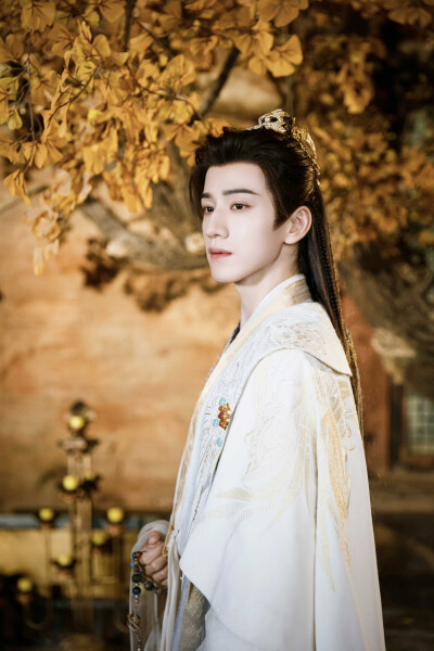 月明千里 罗嘉/苏丹古