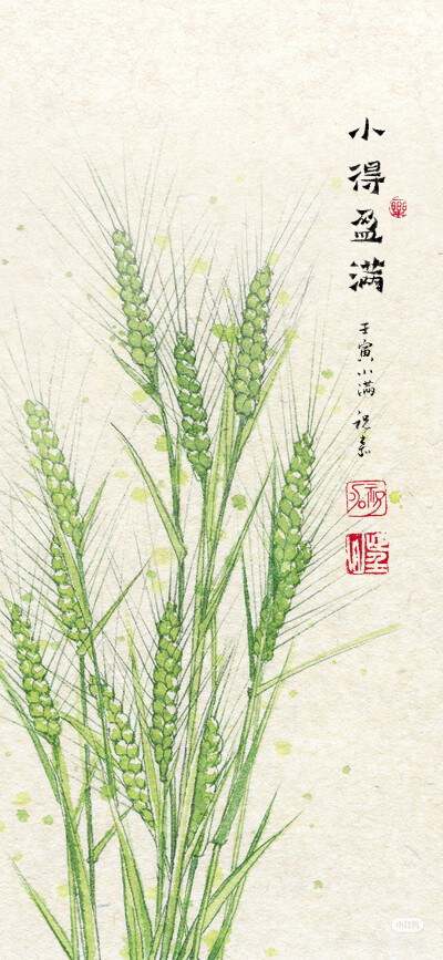壁纸