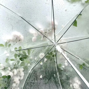 程鑫背景图