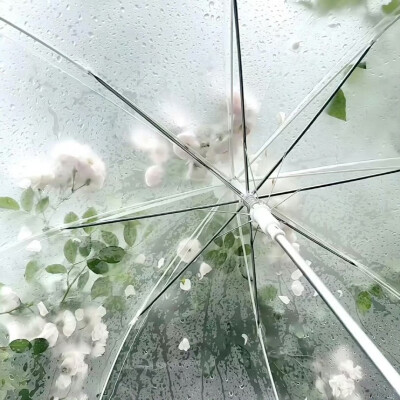 背景图