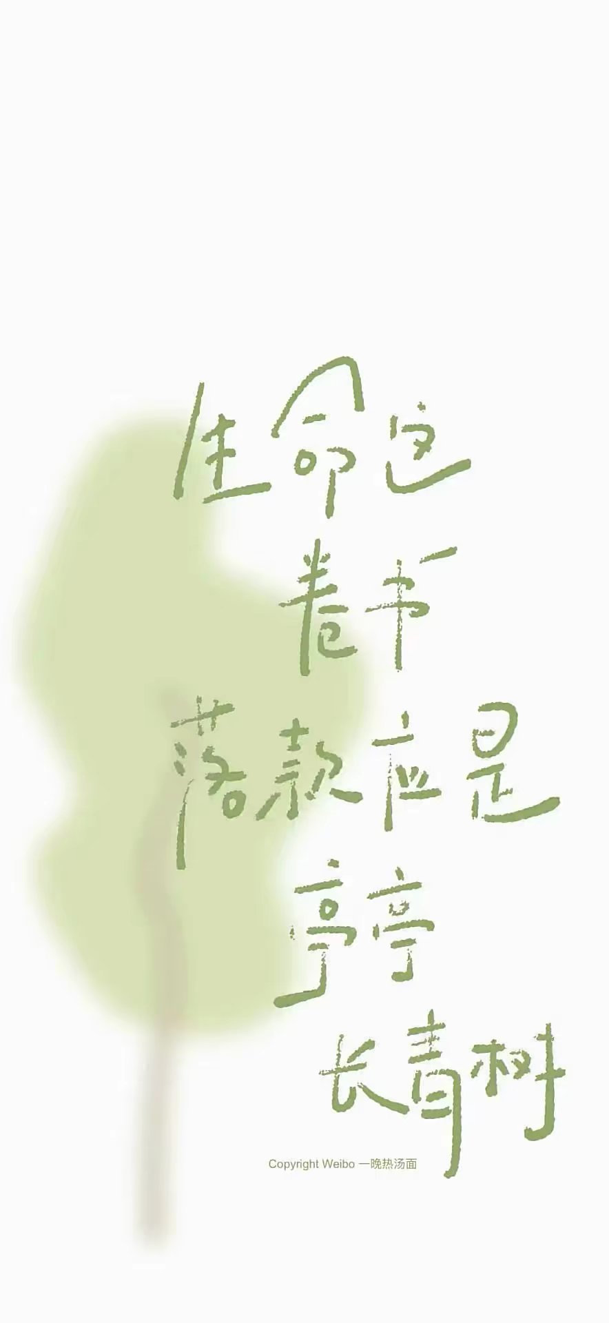 文字壁纸