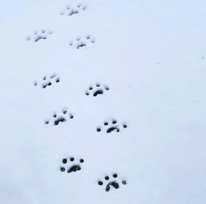 Dreamy Twilight-热气球下的地平线《＋》
文案田赴
金玟庭/金冬天❄️