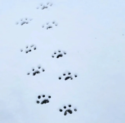 Dreamy Twilight-热气球下的地平线《＋》
文案田赴
金玟庭/金冬天❄️