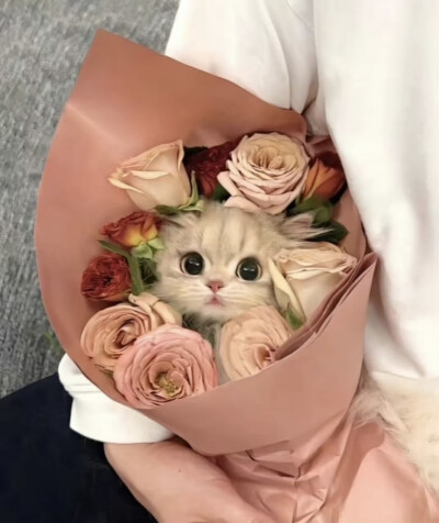 。