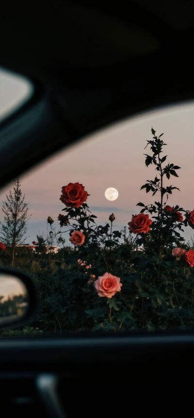 。