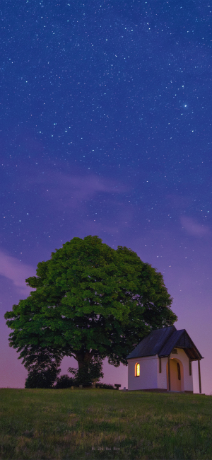 晚安
图片来自网络，侵删