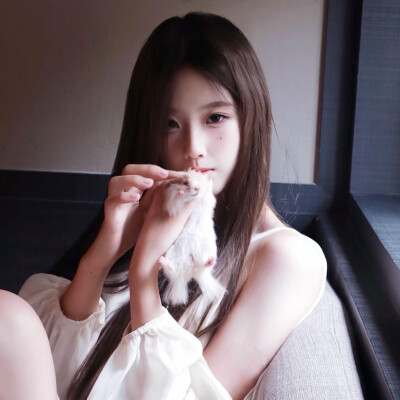 Doll