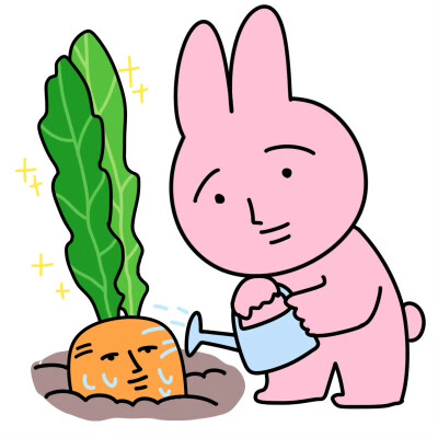 粉红兔子