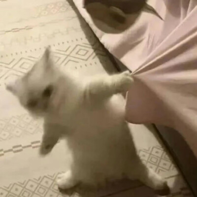 。