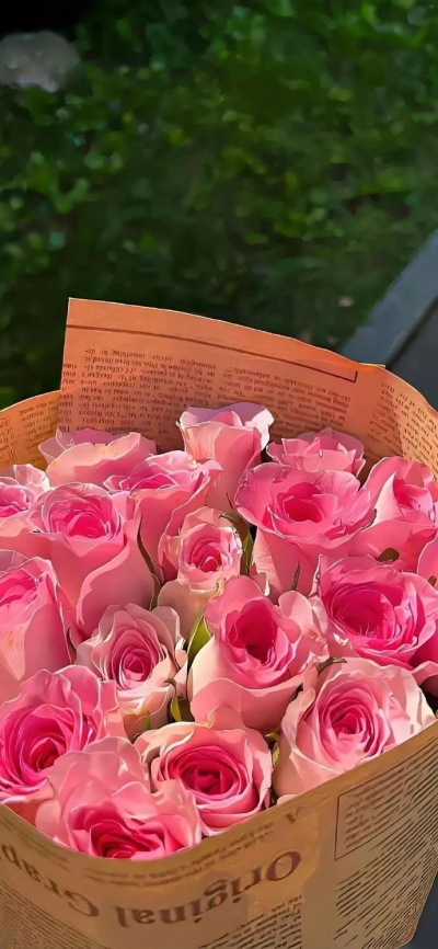 鲜花壁纸