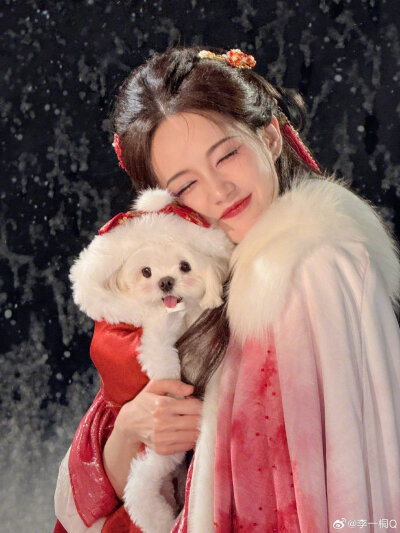 李一桐