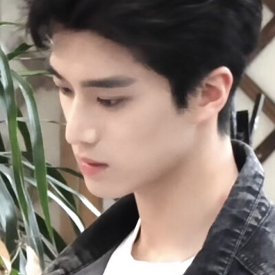 树