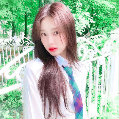 청춘（Protect our agreement）…山茶花之恋