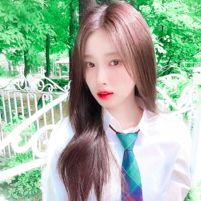 청춘（Protect our agreement）…山茶花之恋