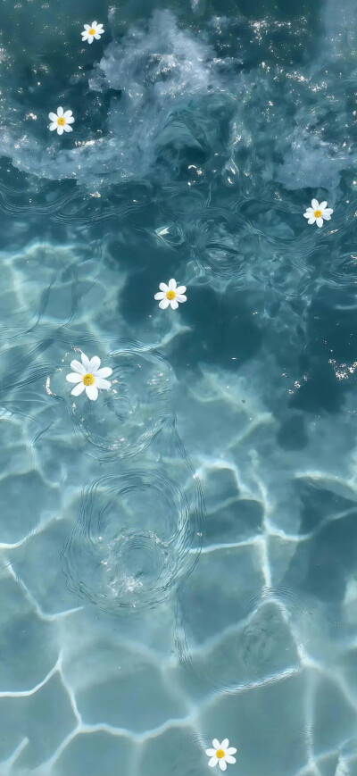 壁纸/锁屏
