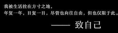 文字
