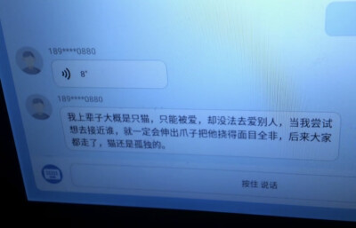 我好，猫好，你最好